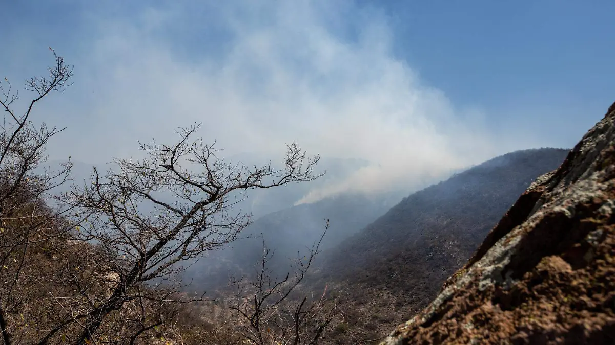 Incendios forestales (1)